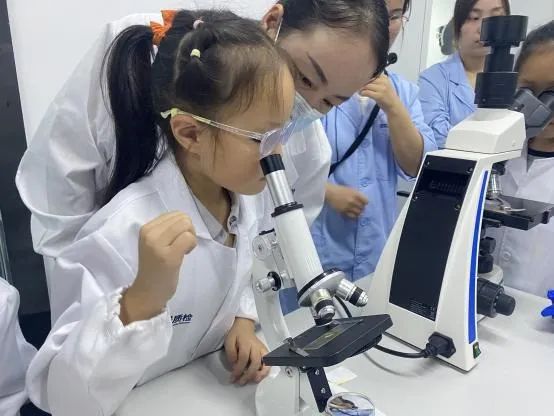 ��Ʒ�۽� | �������������۾���һ���Ӳ졸�����ϵ�΢�۲��䡹