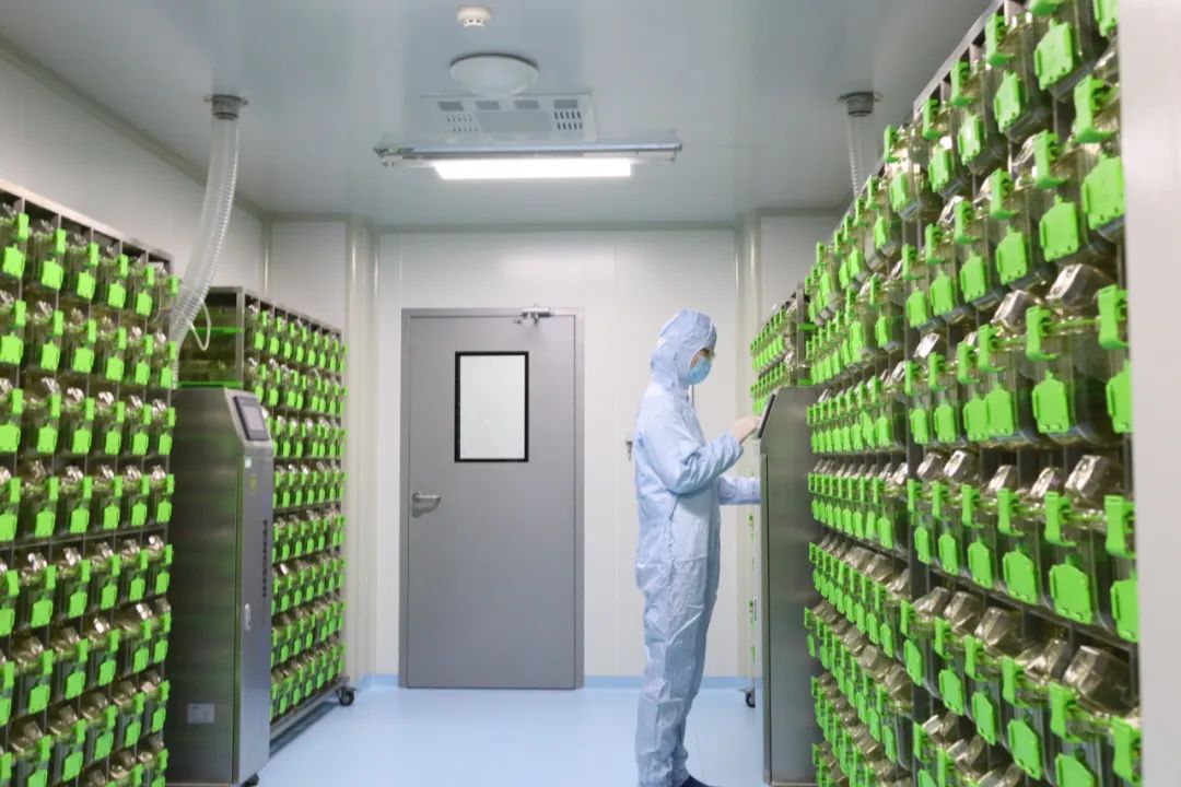 ϲѶ | JDB�����ʼ�ǣͷ�齨�����ж�����ҩ�Ƽ��з����������������϶��ֳɻ�����