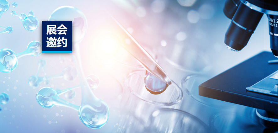 չ����Լ | JDB�����ʼ���������2023���ڹ�������������