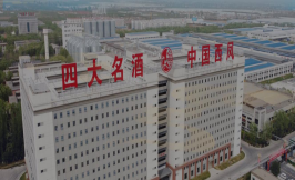 ��������ƹɷ����޹�˾