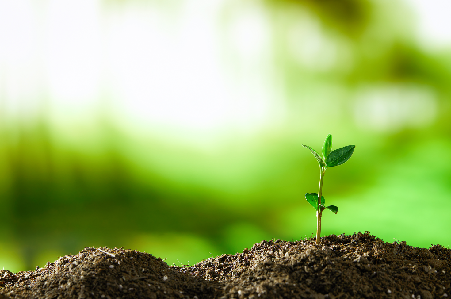 ������ȫ�������������ղ��Ե�����Ŀ