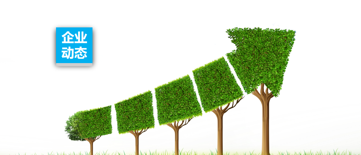 8����ҵ��13�ң�2024JDB�����ʼ���ɫս����Ϯ��